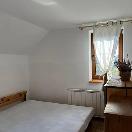 Lesna Barbara Tatil Evi *